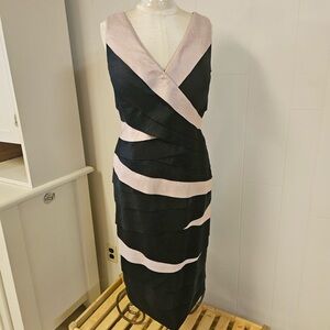 New with Tags Black and Champagne Striped Dress